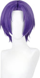 TTYAO REII Wings, Elevate Your Short Hair Game with Stunning Purple Winged Hair Accessory