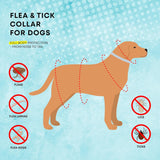 SKIXPVV Flea Collar  – Natural Plant-Based, 90-Day Protection, Silicone, Adjustable 14-24cm Neck, Gray,Cats and Dogs