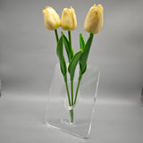Eylia's Flower Vase – 20×15cm Transparent White, Lightweight 247g, Modern Decorative Vase for Home & Office