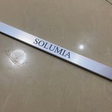 SOLUMIA Framework of metal for building, Stainless Steel, 100×1.5cm, Durable and Corrosion-Resistant