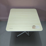HiGreen outdoor Tables,Personal Folding Table, indoor/outdoor, 23.6 "L x 23.6" W x 20.47 "H