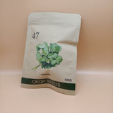 47 Crop seeds,Coriander seed Non-gmo seeds, easy to plant and grow