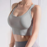 Ebonelle Underwear - Seamless Contour Design, Push-Up Support & Second-Skin Feel Sports Bra for Daily Comfort, Gym Workouts & Yoga Sessions; Perfect for Modern Women, Fitness Enthusiasts & All-Day Wear; Ocean Blue, Size M