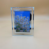 Veco Photo Frame, Clear photo frame  with Desktop Display Horizontally.